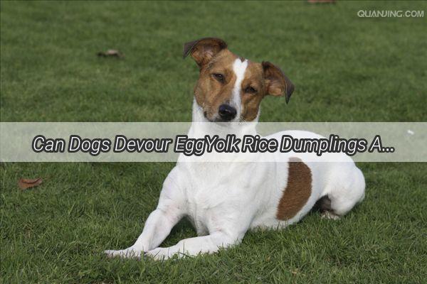 Can Dogs Devour EggYolk Rice Dumplings A Festive Feeding Dilemma